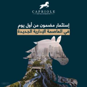 لينكس بيزنس كومبلكس العاصمة الادارية الجديدة Mall Linx Business Complex New Capital تجاري - اداري - طبي