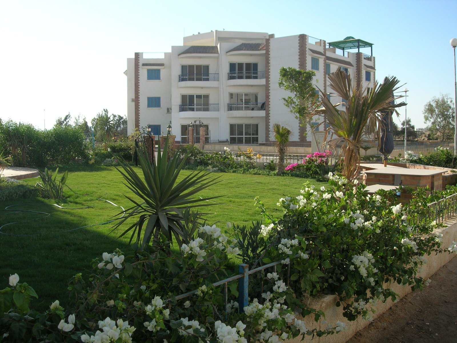قرية أميجو راس سدر - Amego Resort Ras Sedr قرية أميجو راس سدر - Amego Resort Ras Sedr