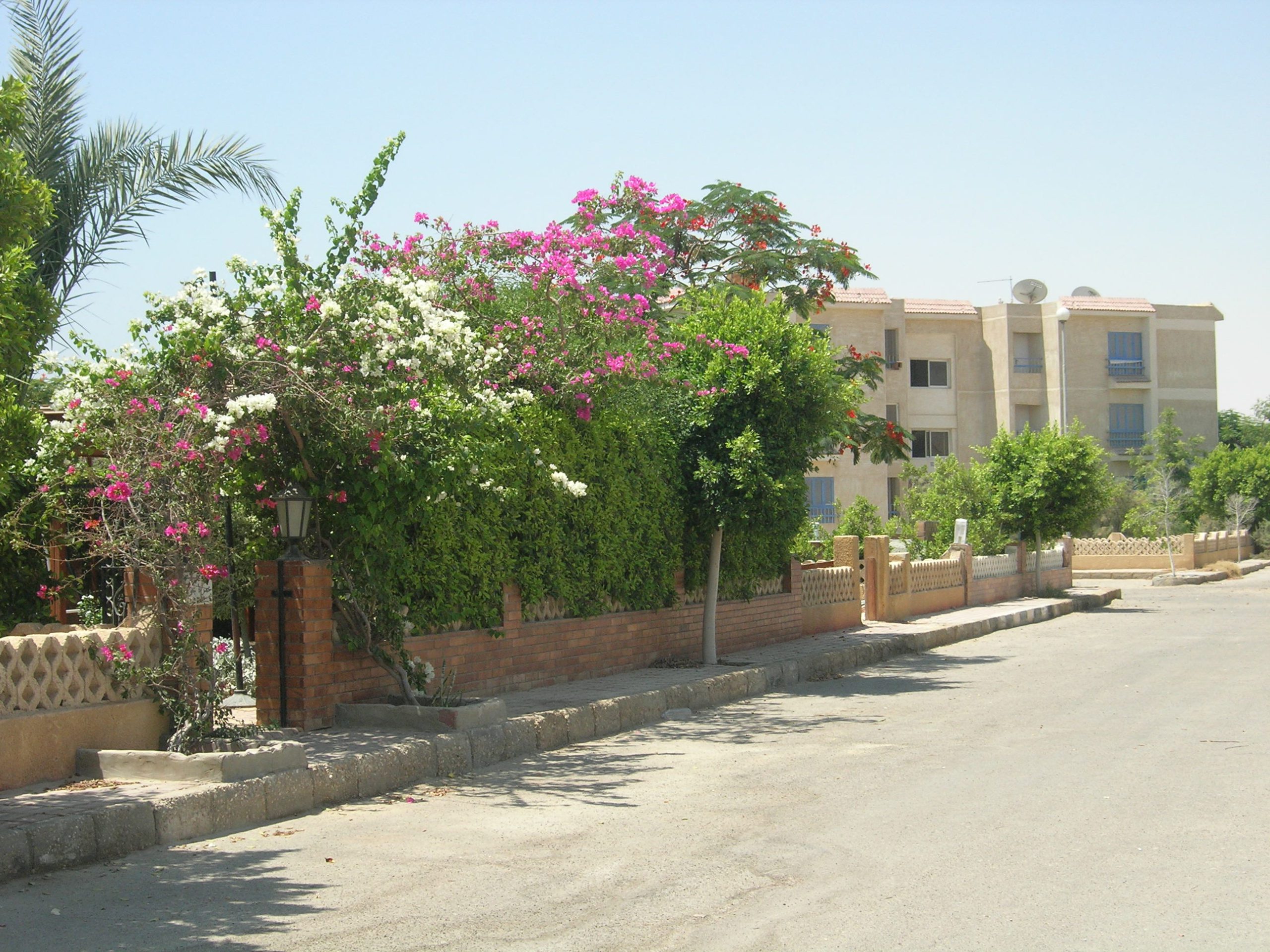 قرية المنال 1 العين السخنة - El Manal 1 Resort Ain Sokhna