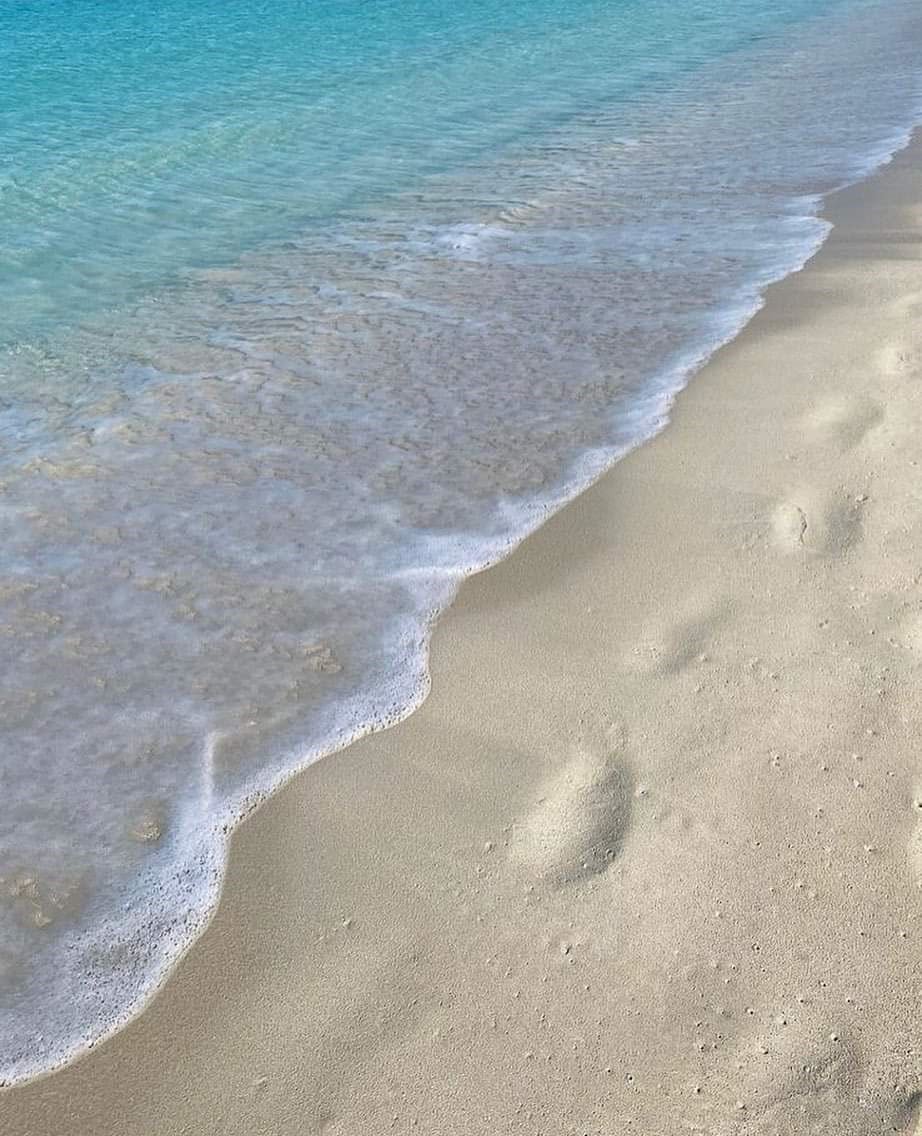 شالية علي البحر مميز جدا (الساحل الشمالي)